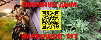 сатива Можга